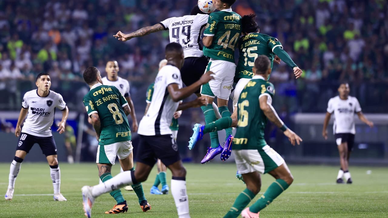 Palmeiras x Botafogo no Brasileirão: quando é e o que está em jogo?