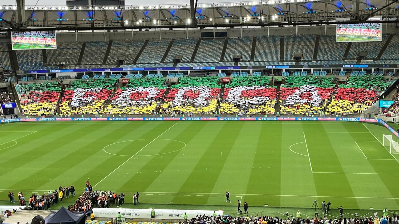 Torcedores do Botafogo estão na origem do mosaico do Futebol Solidário