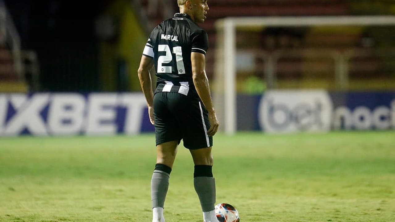 Marchal Botafogo destaca determinação e parabeniza Gustavo Sauer: “Ele trabalha tranquilo”