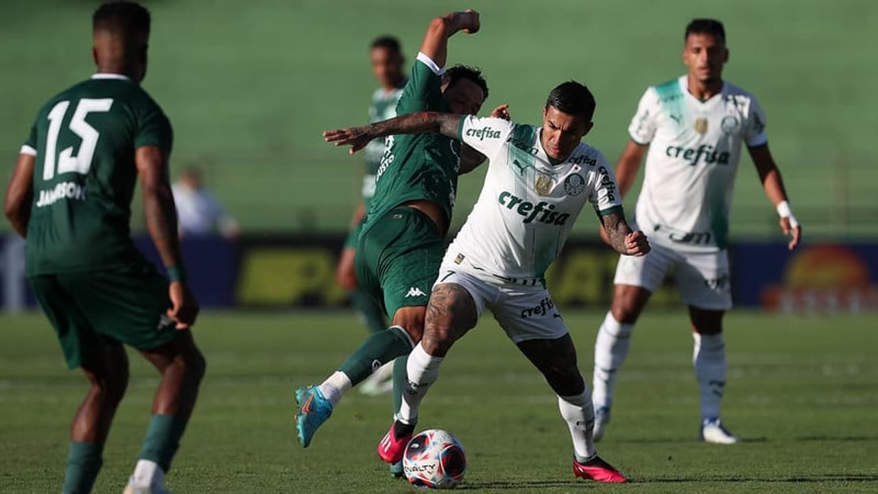 Dudu supera 'São Marcos' e quebra mais um recorde do Palmeiras