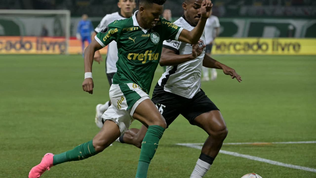 Maior jogo entre Palmeiras e Botafogo da história