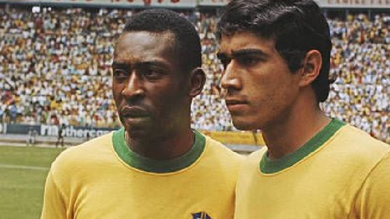 Ídolos do Santos celebram o clube e revivem memórias com Pelé