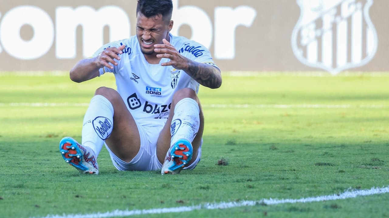 O Santos teve menos oportunidades de jogar;   Flamenco perto dos Libertadores;   Benefícios da Seleção Brasileira