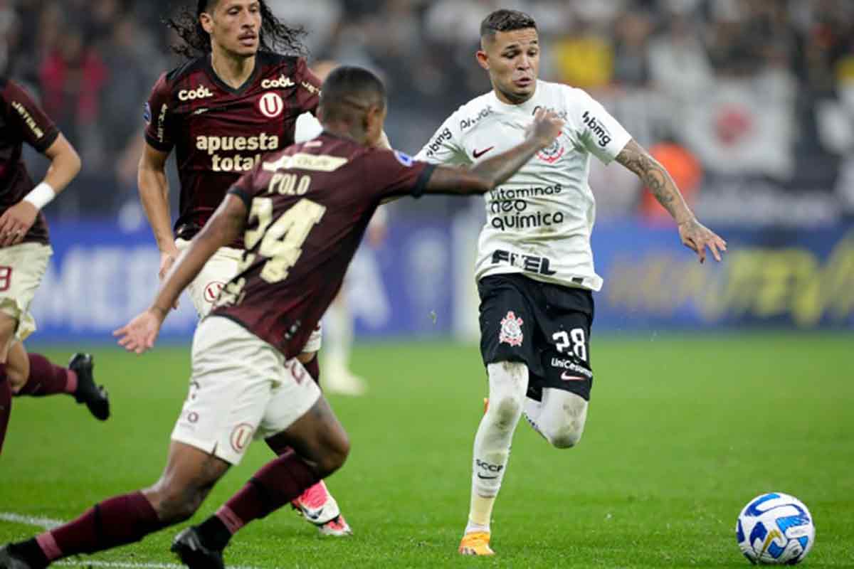 Copa Sul-Americana: dicas de como apostar no torneio