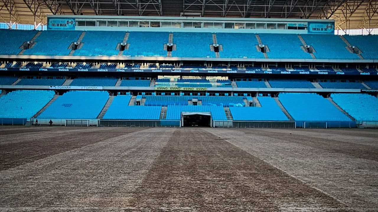 Arena do Grêmio inicia limpeza após enchente e encontra peixes;   veja as ilustrações