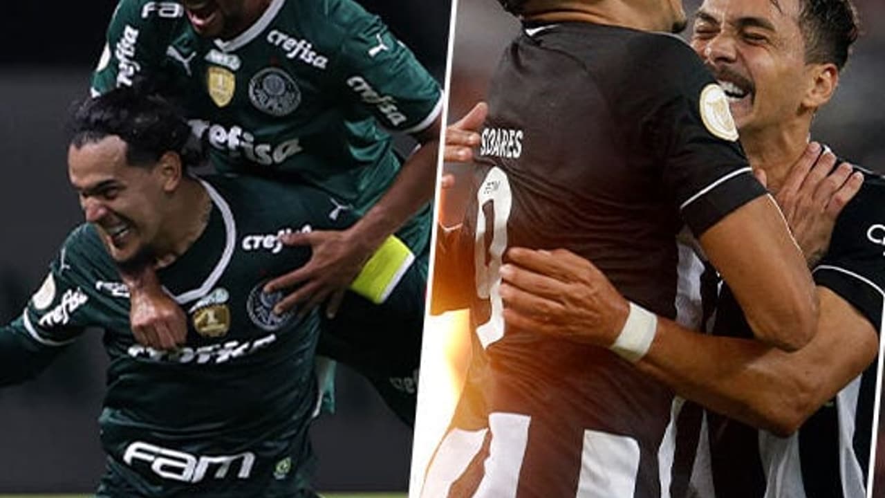 Palmeiras e Botafogo chegam a 50 gols neste ano;   veja a classificação geral da temporada