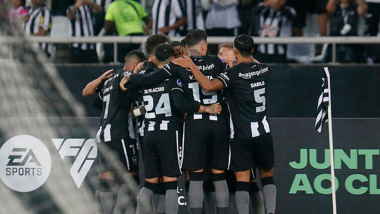 Botafogo termina maio com apenas duas derrotas;   lembre-se dos jogos