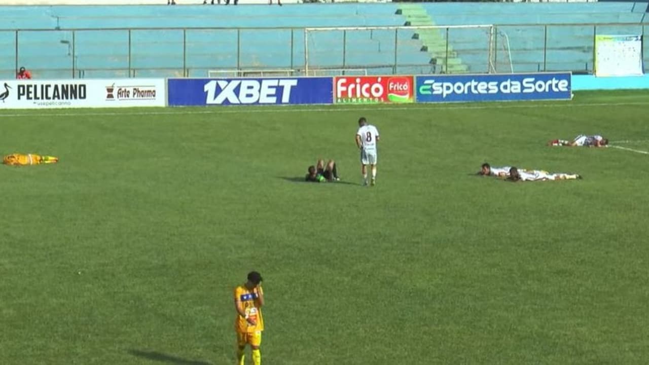 Jogo é interrompido por ataque de abelha no Campeonato Goiano