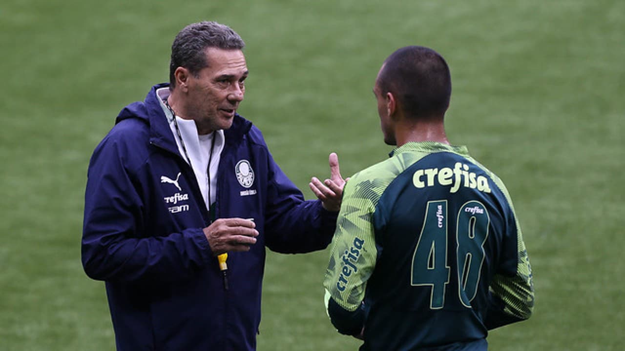 Gabriel Maduro?   Depois da escola, Menino nasceu de novo no Palmeiras