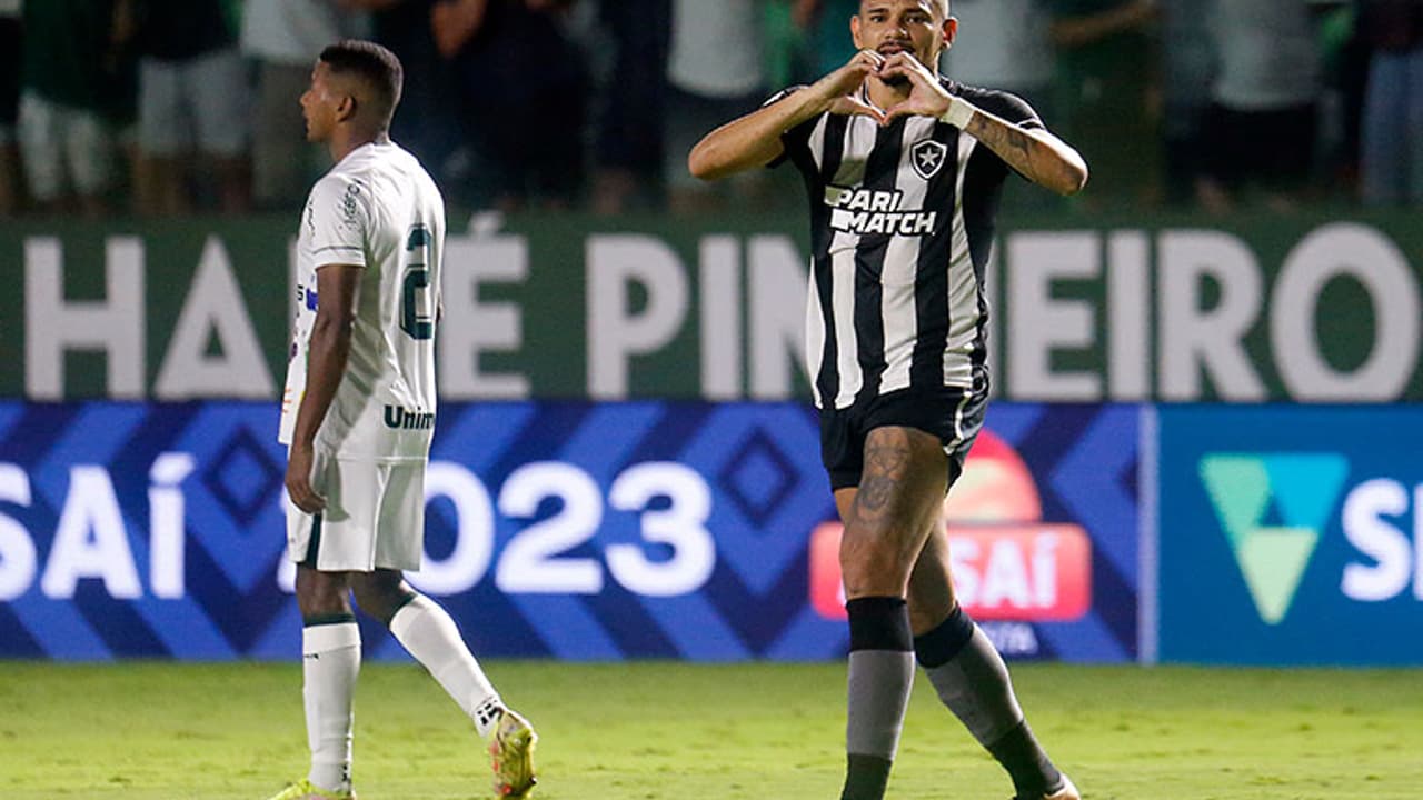 Contra o Goiás, Botafogo encontrou uma das poucas vítimas no primeiro turno do Brasil