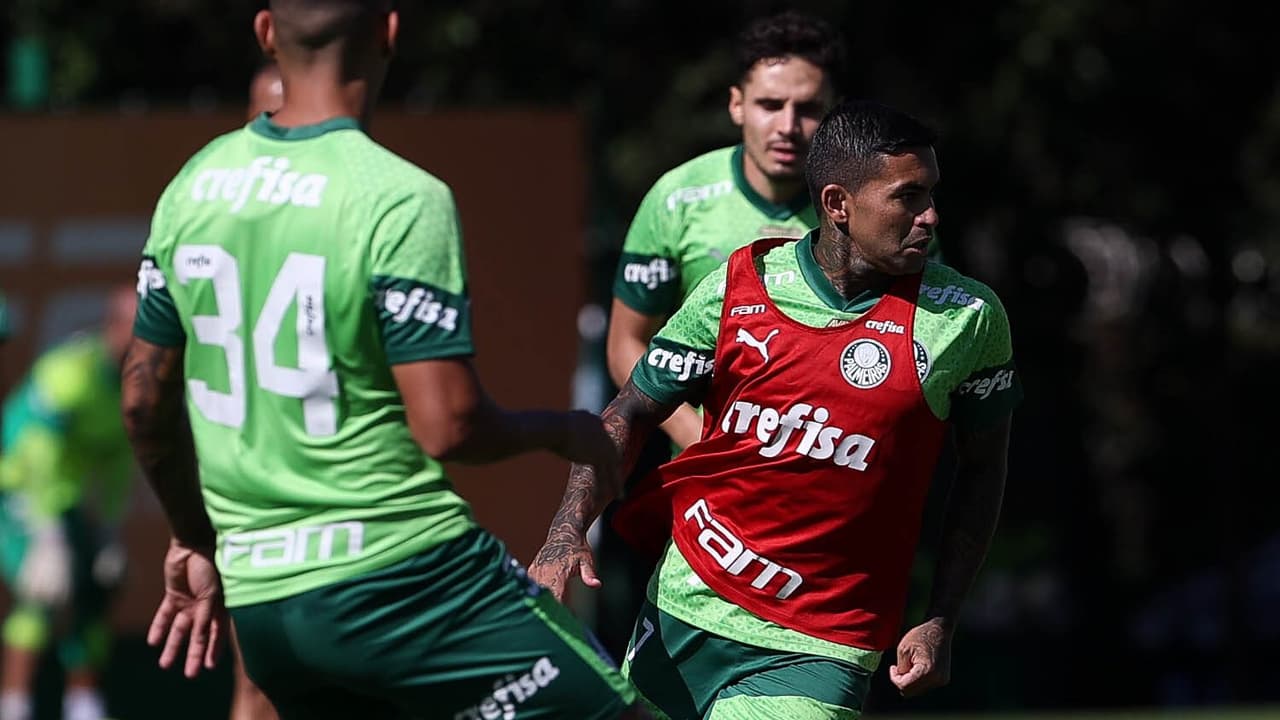 Com a volta do ídolo, Palmeiras realizará jogos-treino na academia de futebol