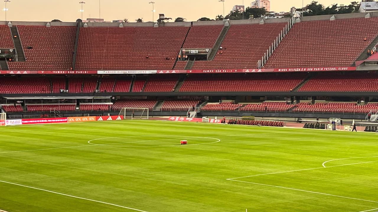 São Paulo x Grêmio: onde assistir ao jogo do Brasileirão ao vivo, horário e escalação