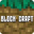 Bloqueio 3D do Craft World